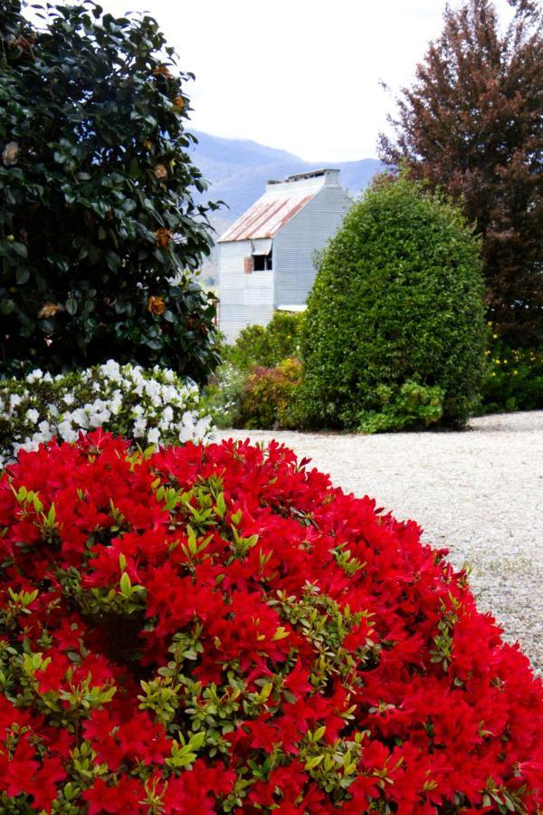 Alpenhorn Holiday Units Mount Beauty Buitenkant foto